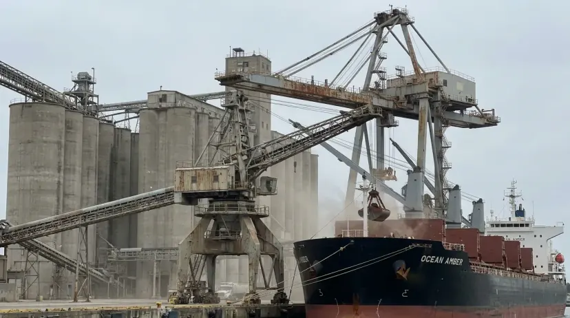 Carregadeira forma pilha de granel no Porto do Itaqui, recorde de soja no cais